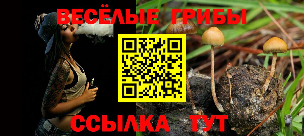 Клинцы  Вход с VPN  Меф МЯУ МЯУ   Гашиш  Гашиш  Конопля  Cocaine 