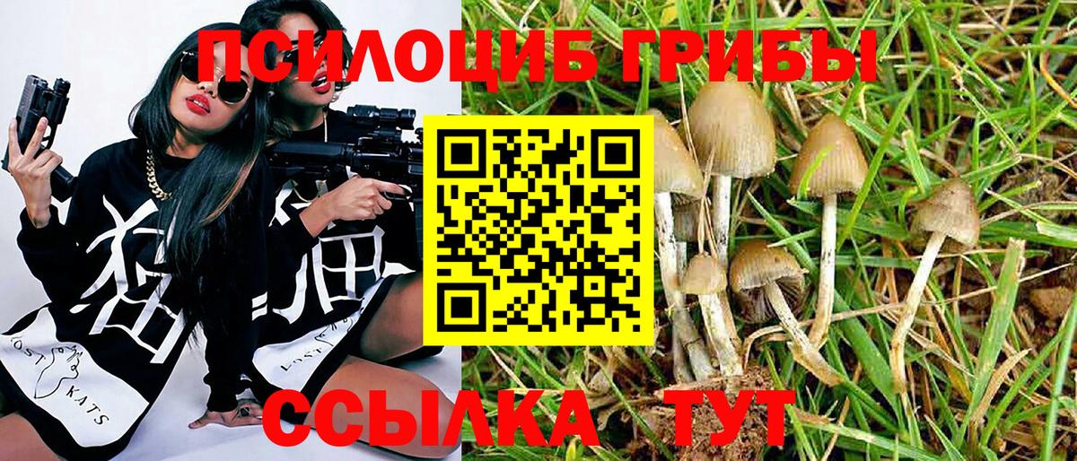 Галлюциногенные грибы прущие грибы Клинцы